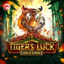 Tiger's Luck - Hold & Win