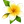 Nuovi
